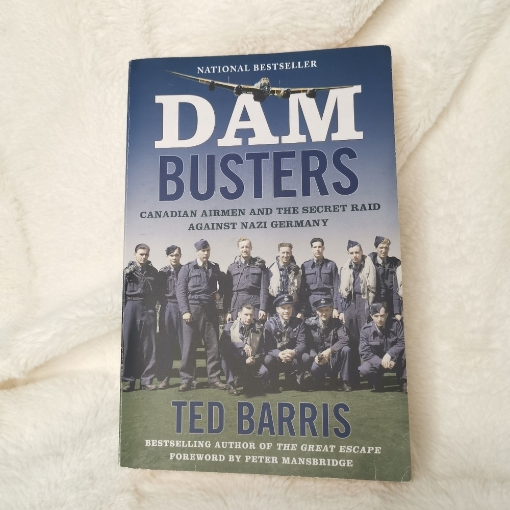 🔥3/$15🔥Dam Busters Paperback by  Ted‎ Barris